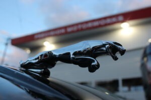 Jaguar Suspension Repair service seattle